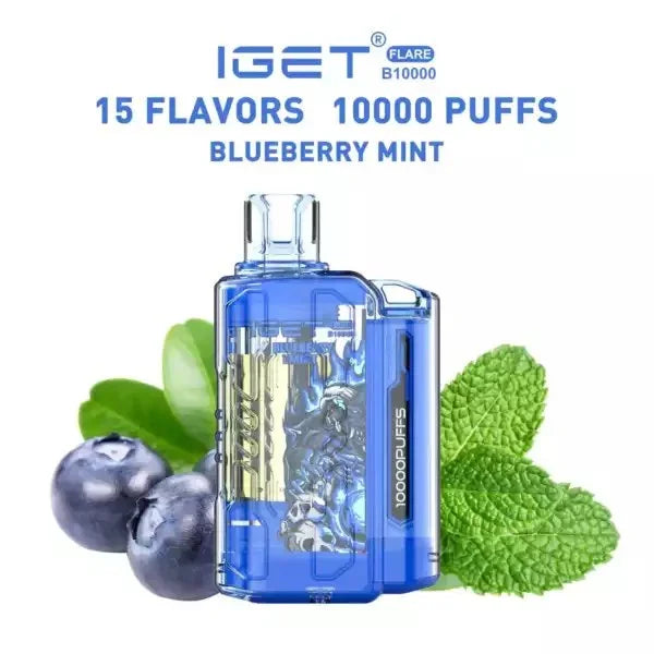 IGET FLARE B10000 – Blueberry Mint - Vape Shop Ahmedabad Vapeshopahmedabad