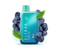 ELF BAR RAYA D1 – Blueberry Mint - Vape Shop Ahmedabad Vapeshopahmedabad